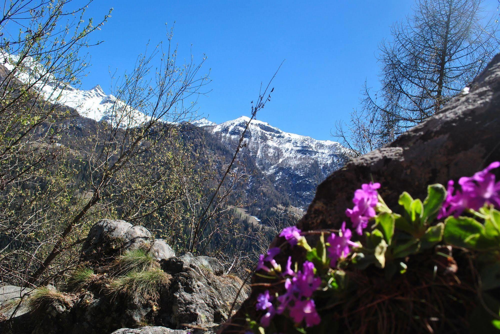 Hotell Millefiori- Alpine Event Lodge فالتورنيتش المظهر الخارجي الصورة