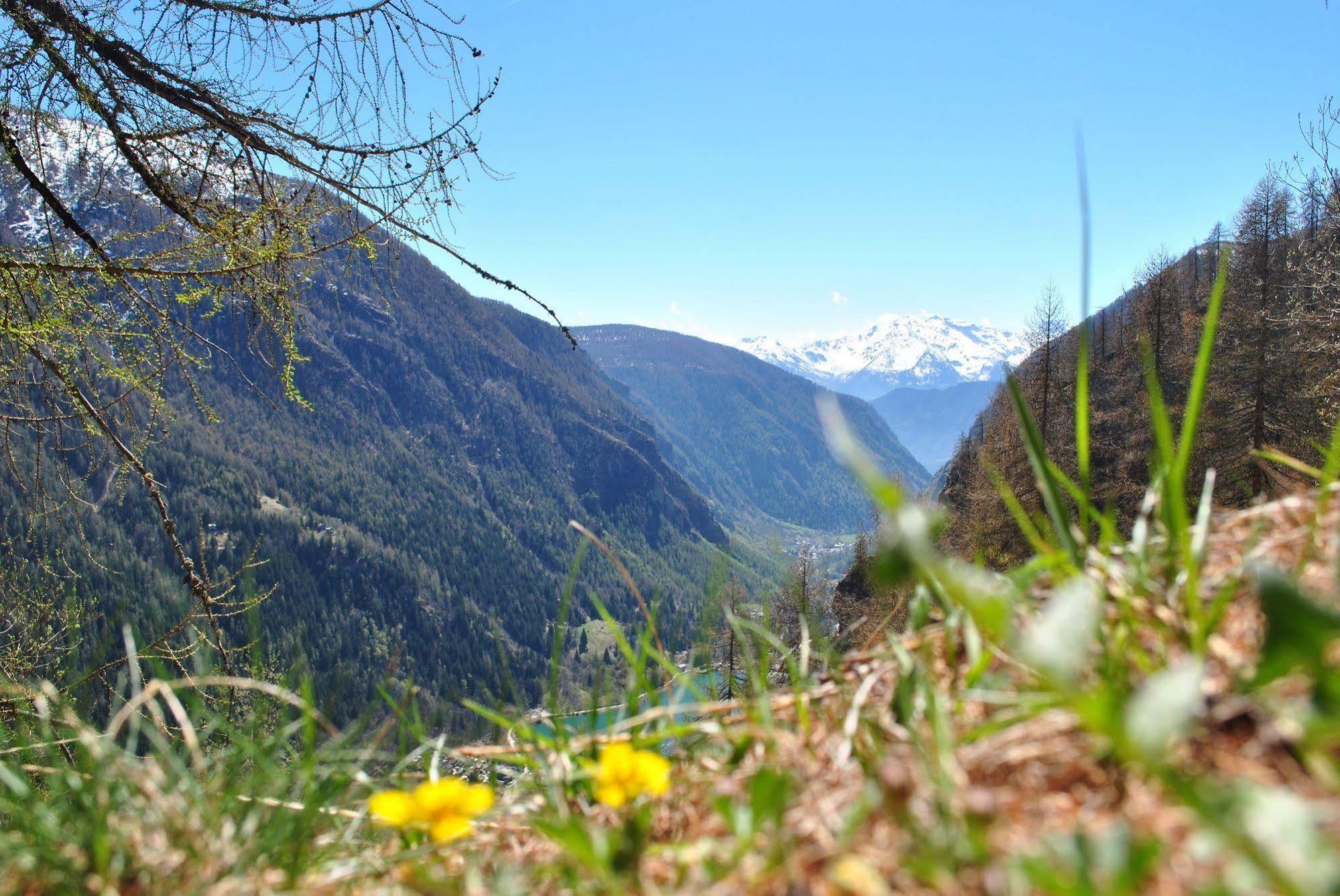 Hotell Millefiori- Alpine Event Lodge فالتورنيتش المظهر الخارجي الصورة