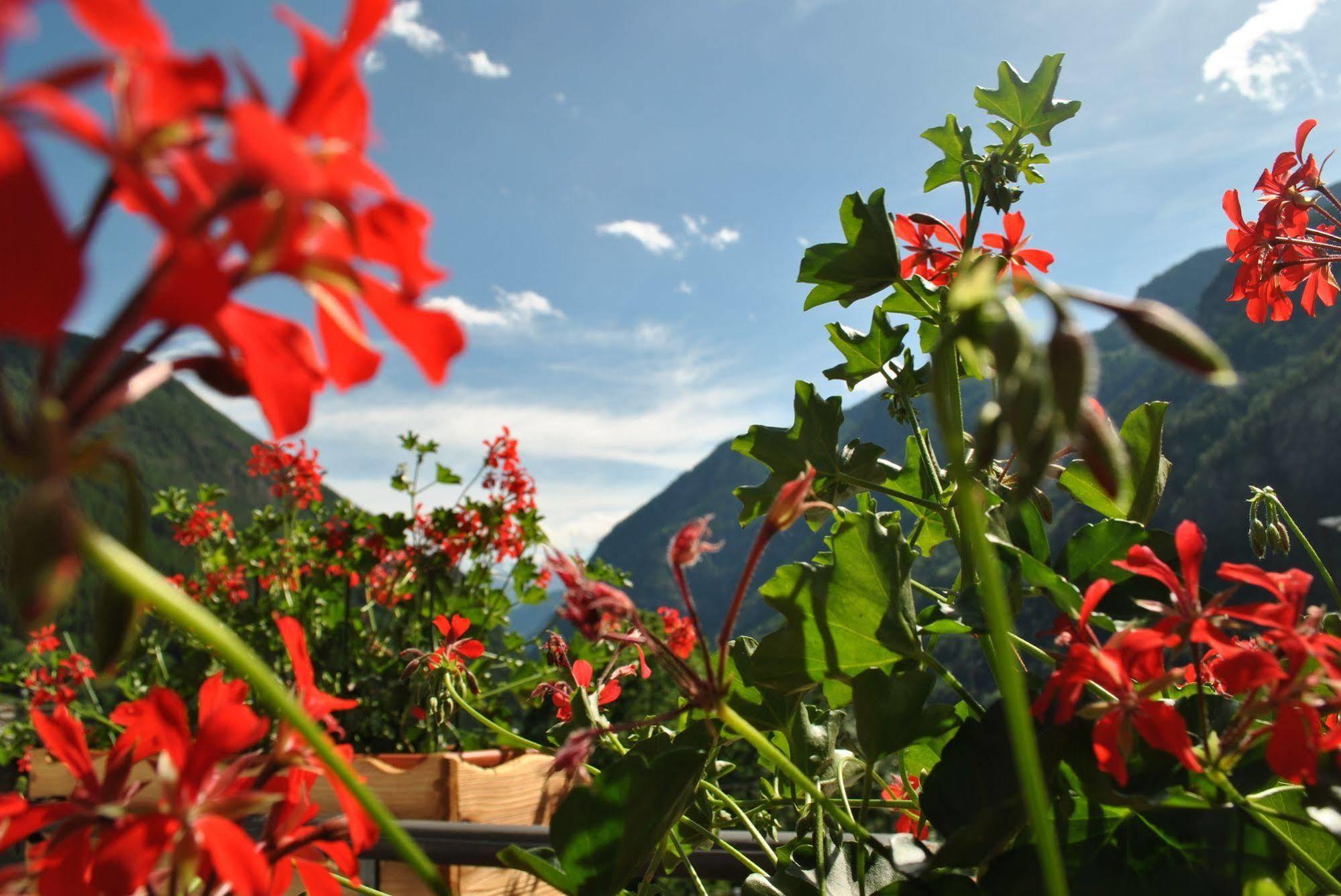Hotell Millefiori- Alpine Event Lodge فالتورنيتش المظهر الخارجي الصورة