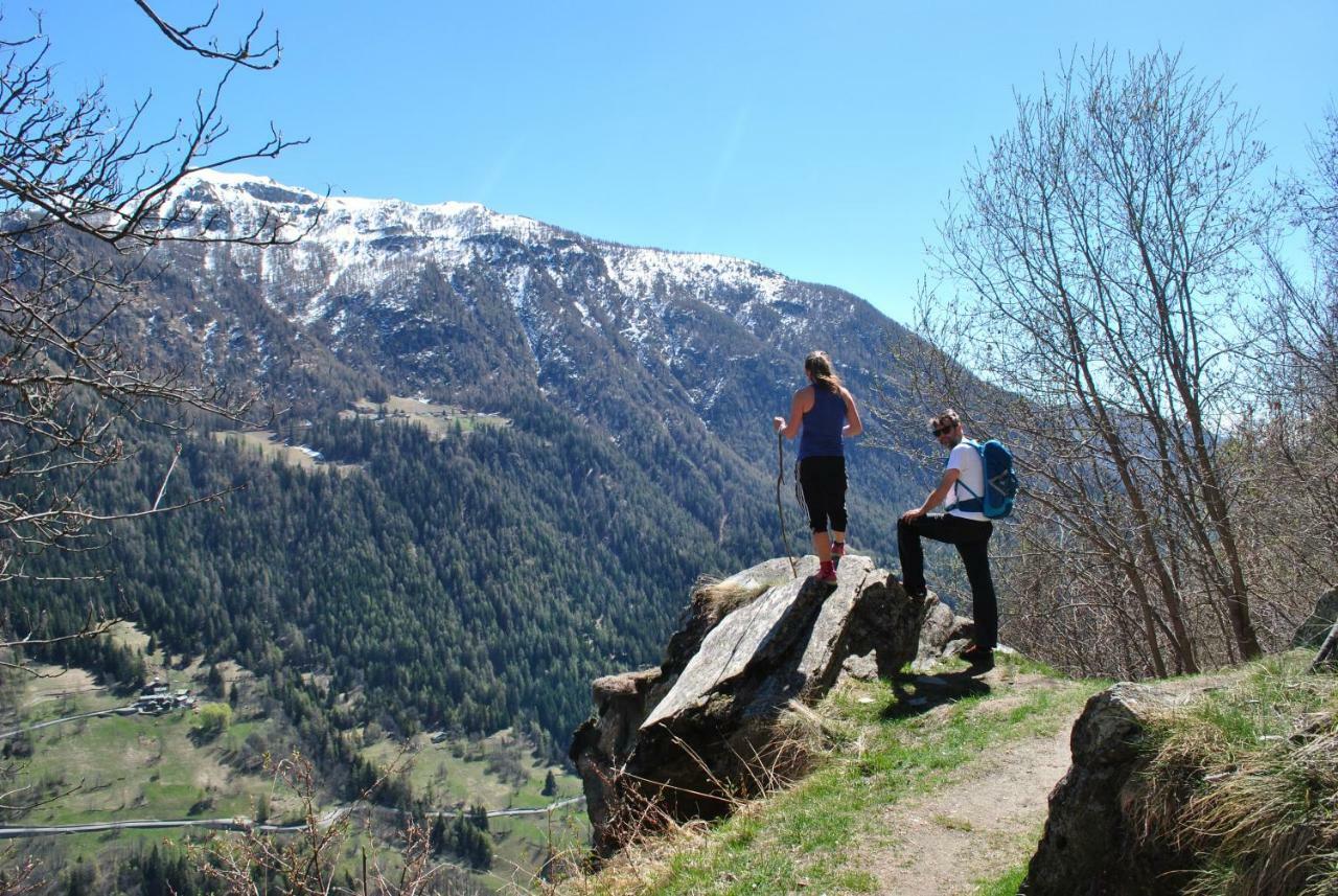 Hotell Millefiori- Alpine Event Lodge فالتورنيتش المظهر الخارجي الصورة