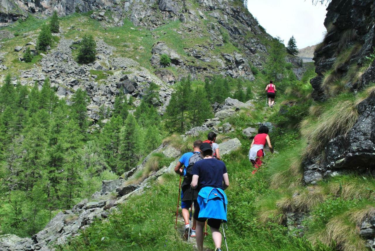 Hotell Millefiori- Alpine Event Lodge فالتورنيتش المظهر الخارجي الصورة